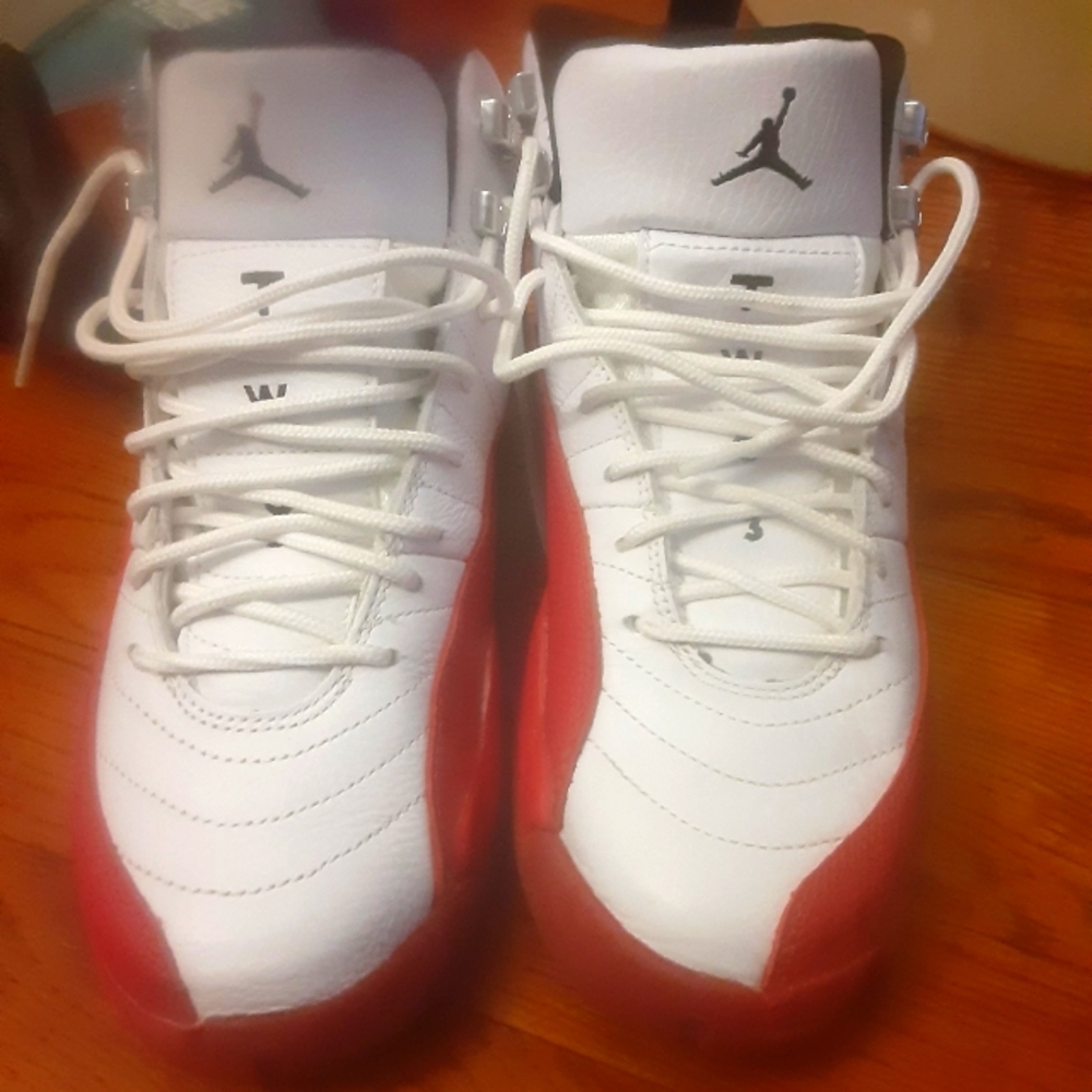 Air Jordan 12 sneaker